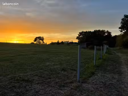 loue pré de 1 2 hectares avec abri