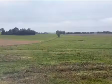 terre agricole