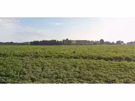 terrain 489 m² raches