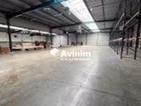 local 2556 m² roncq