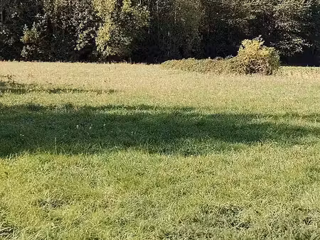 terrain de loisir