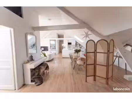 loft lumineux croix roubaix 3 chambres