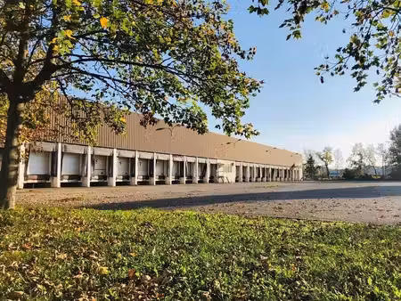location entrepôt strasbourg 67100 16767m²