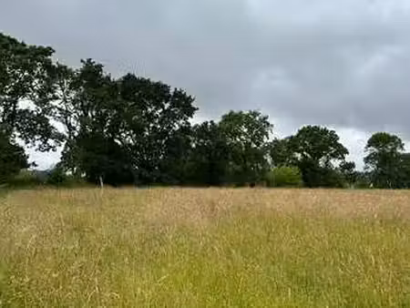 vente terrain à dirinon (29460) : à vendre / dirinon
