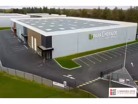 vente local d’activités la mézière 35520 200m²