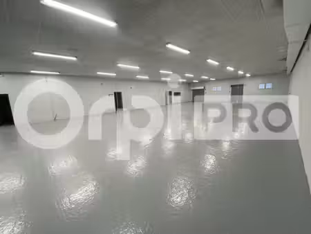 vente local d’activités verdun sur garonne 82600 1180m²