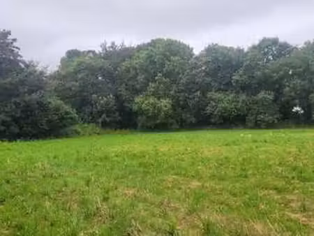 vente terrain à taulé (29670) : à vendre / taulé