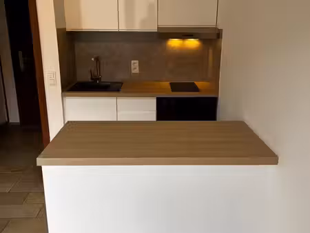 prachtige  instapklare en volledig vers geschilderde flat in wemmel!
