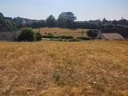 vente terrain 1395 m² à châteauneuf-la-forêt (87130)  16 000 €