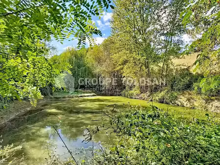 vente terrain 19195 m² à fourquevaux (31450)  38 000 €