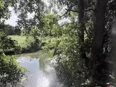 vente terrain 12930 m² à recques-sur-course (62170)  36 000 €