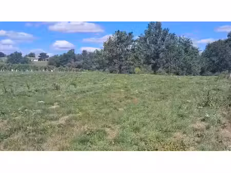 vente terrain 2256 m² à boisredon (17150)  17 500 €