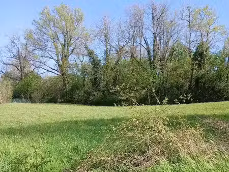 vente terrain 4600 m² à riberac (24600)  30 000 €