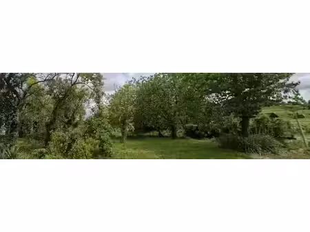 vente terrain à batir 383 m² à montigny-sur-vesle (51140)  40 000 €