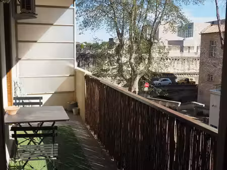 avignon (84)