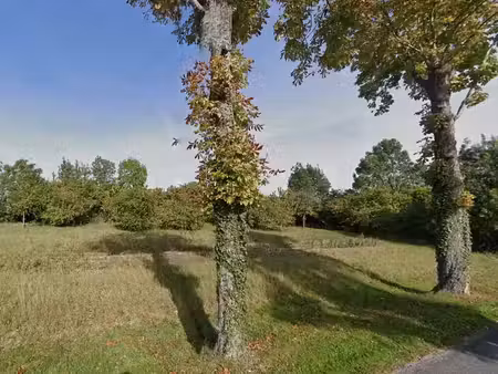 vente terrain 1100 m² lonzac (17520)