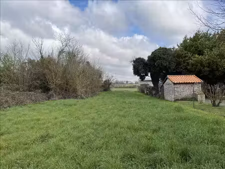 terrain à vendre