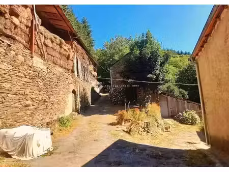 vente ferme 10 pièces 153.38 m² à saint-sever-du-moustier (12370)  330 000 €