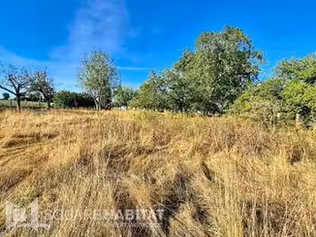 vente terrain à pipriac (35550) : à vendre / 1000m² pipriac