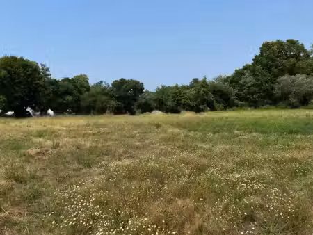 terrain à vendre