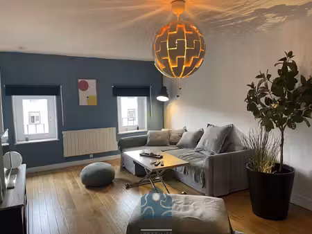 appartement 48m2 1 chambre