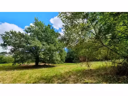 terrain à vendre