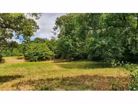 terrain à vendre