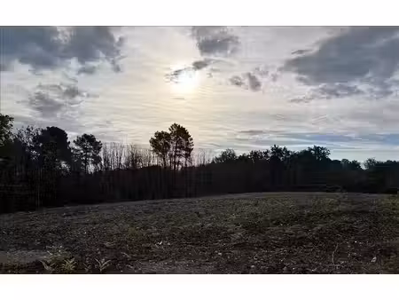 terrain à vendre