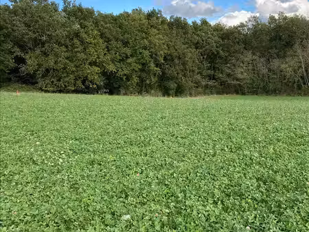 terrain à vendre