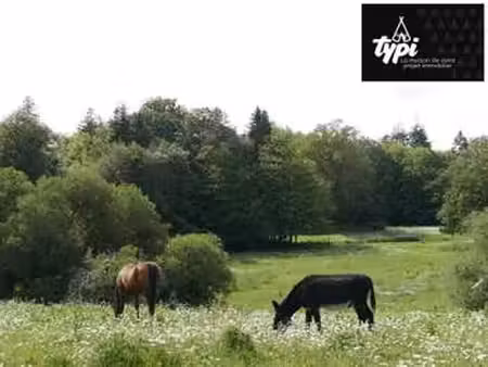 vente terrain à hennebont (56700) : à vendre / 800m² hennebont