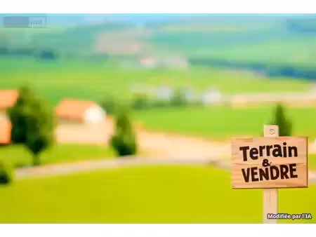 terrain à bâtir en vente neuil (37190)