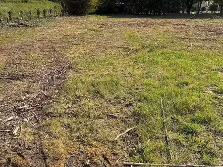 terrain à bâtir en vente rivarennes (37190)