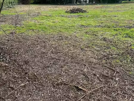 terrain à bâtir en vente rivarennes (37190)
