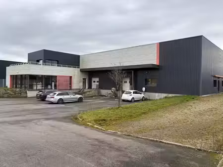 vente local d’activités pontchateau 44160 840m²