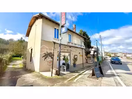 vente locaux professionnels à domarin (38300)  129 000 €