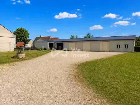vente locaux professionnels 0 pièces 330 m² à nuits (89390)  125 000 €