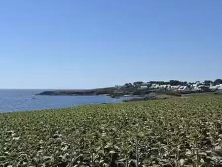 vente maison bord de mer à arzano (29300) : à vendre bord de mer / 500m² arzano