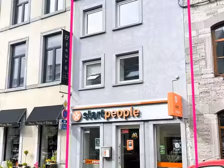 superbe immeuble excellent état +parking +jardin (4 36 ares)