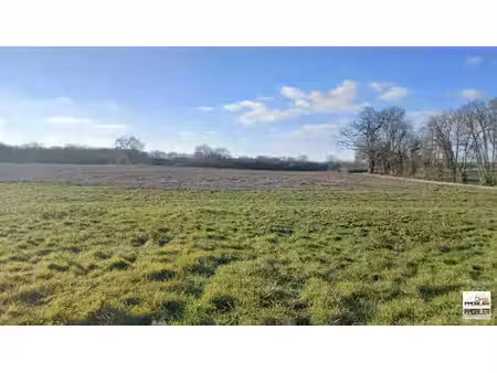 terrain constructible