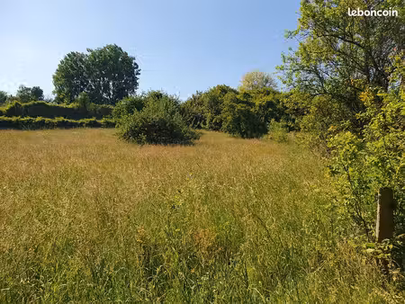 terrain 17692 m2 clermont créans 72200