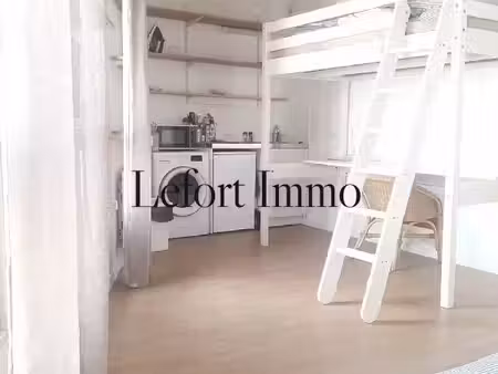 studio 1 pièce 28 m²