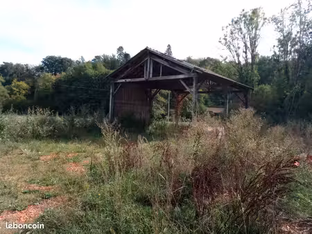 terrain
