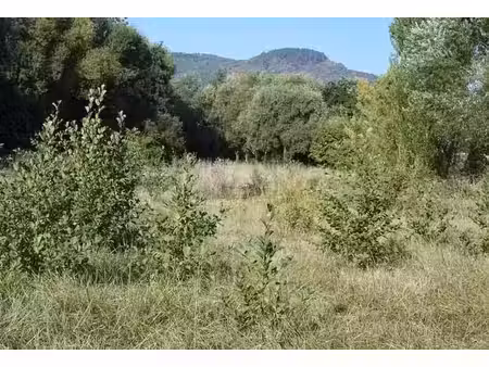 vente terrain saint-maximin-la-sainte-baume (83470)