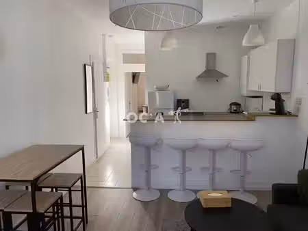 location appartement 2 pièces 40 m² à lyon 7 (69007)