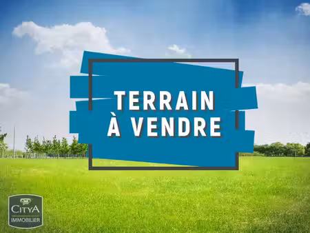 terrain