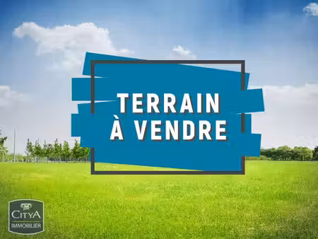 terrain