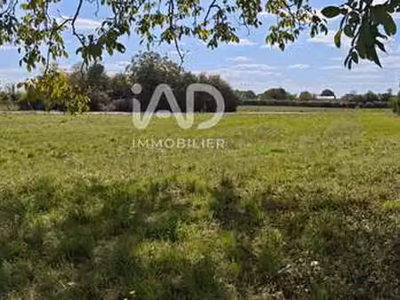 vente terrain à pouillé (85570) : à vendre / 3807m² pouillé