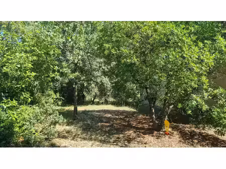 terrain constructible