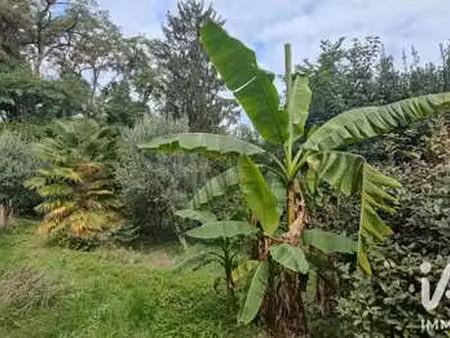 vente terrain à saint-cyr-sur-loire (37540) : à vendre / 739m² saint-cyr-sur-loire