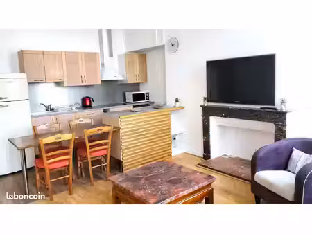 appartement 50 m2 hypercentre entièrement rénové
